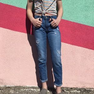 Meet your Posher, Ginsey